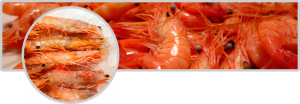 Gambas