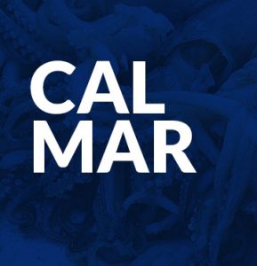 Calmar