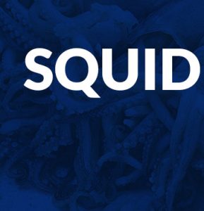 Squid