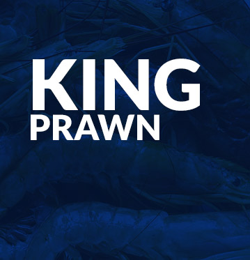 King prawn