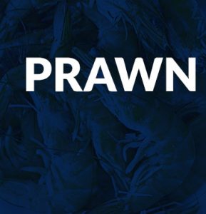 Prawn