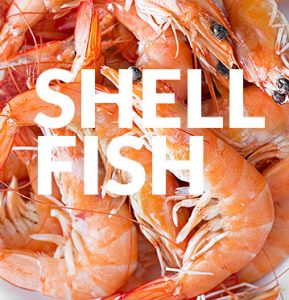 Shell Fish