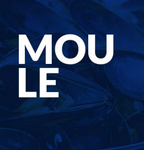 Moule