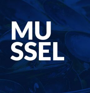 Mussel