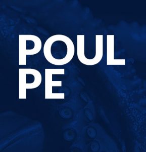 Poulpe