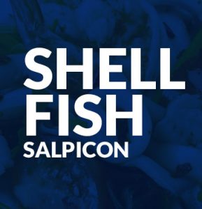 Shell fish salpicon