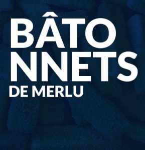 Bâtonnets de merlu