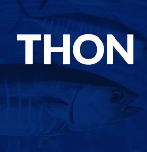 Thon