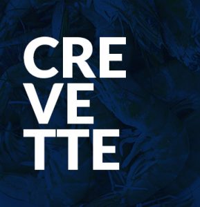 Crevette