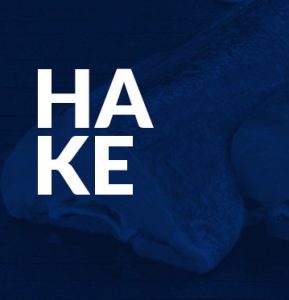Hake