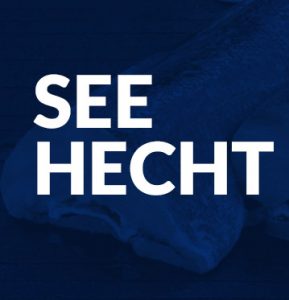 Seehecht