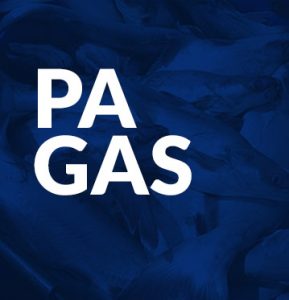 Pangas
